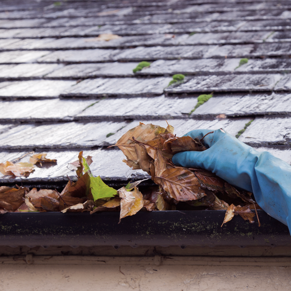 wet gutter being cleaned of foliage and debris